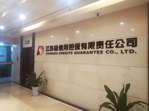 暑期社会实践 走进江苏担保，探寻小微企业金融定制化服务新思路
