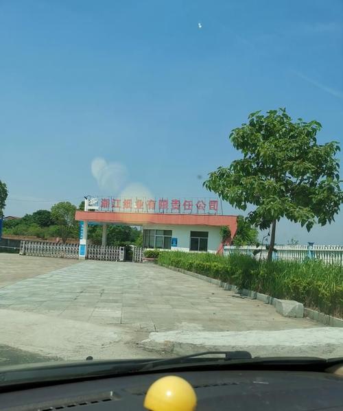 湖南永州曾经最大的企业如今变成了一片空地